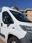 Fiat Ducato - thumbnail 2