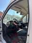 Fiat Ducato - thumbnail 10