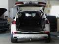 BMW X5 xDr 30d G05 AHK,Dach Luftfederung NP:112.940 Weiß - thumbnail 24