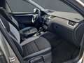 Skoda Octavia Combi Joy 1.4 TSI Bi-Xenon Kurvenlicht 2-Zonen-Kli Beige - thumbnail 6