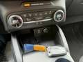 Ford Kuga 1.5 Ecoblue Titanium 2wd 120cv Automatica Blu/Azzurro - thumbnail 12