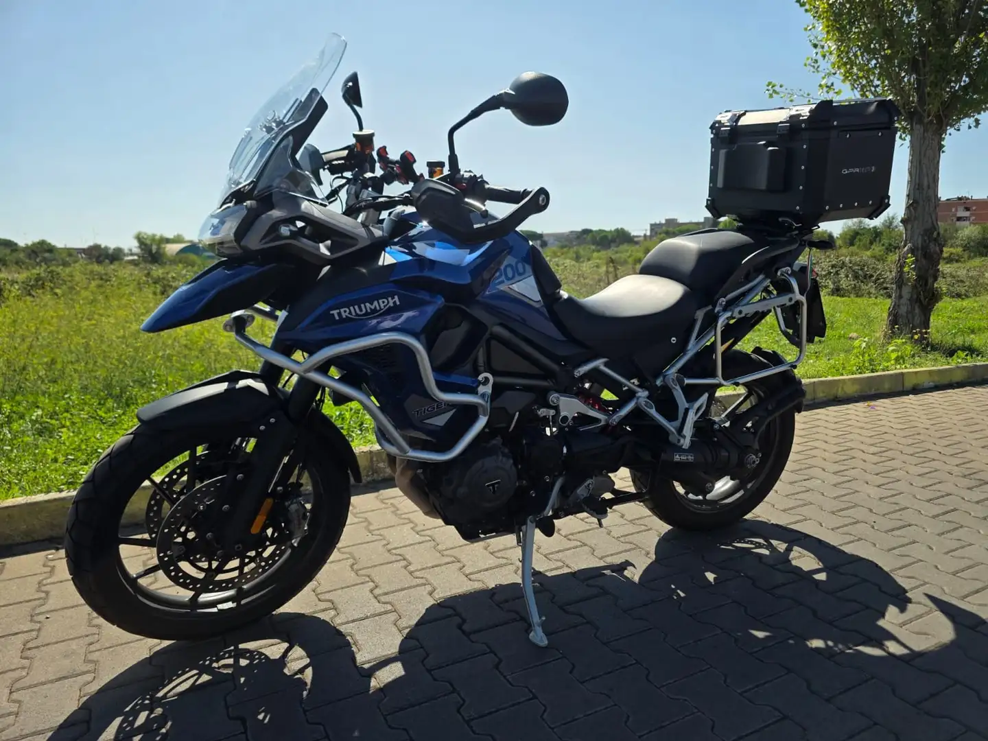 Triumph Tiger 1200 GT PRO Bleu - 1
