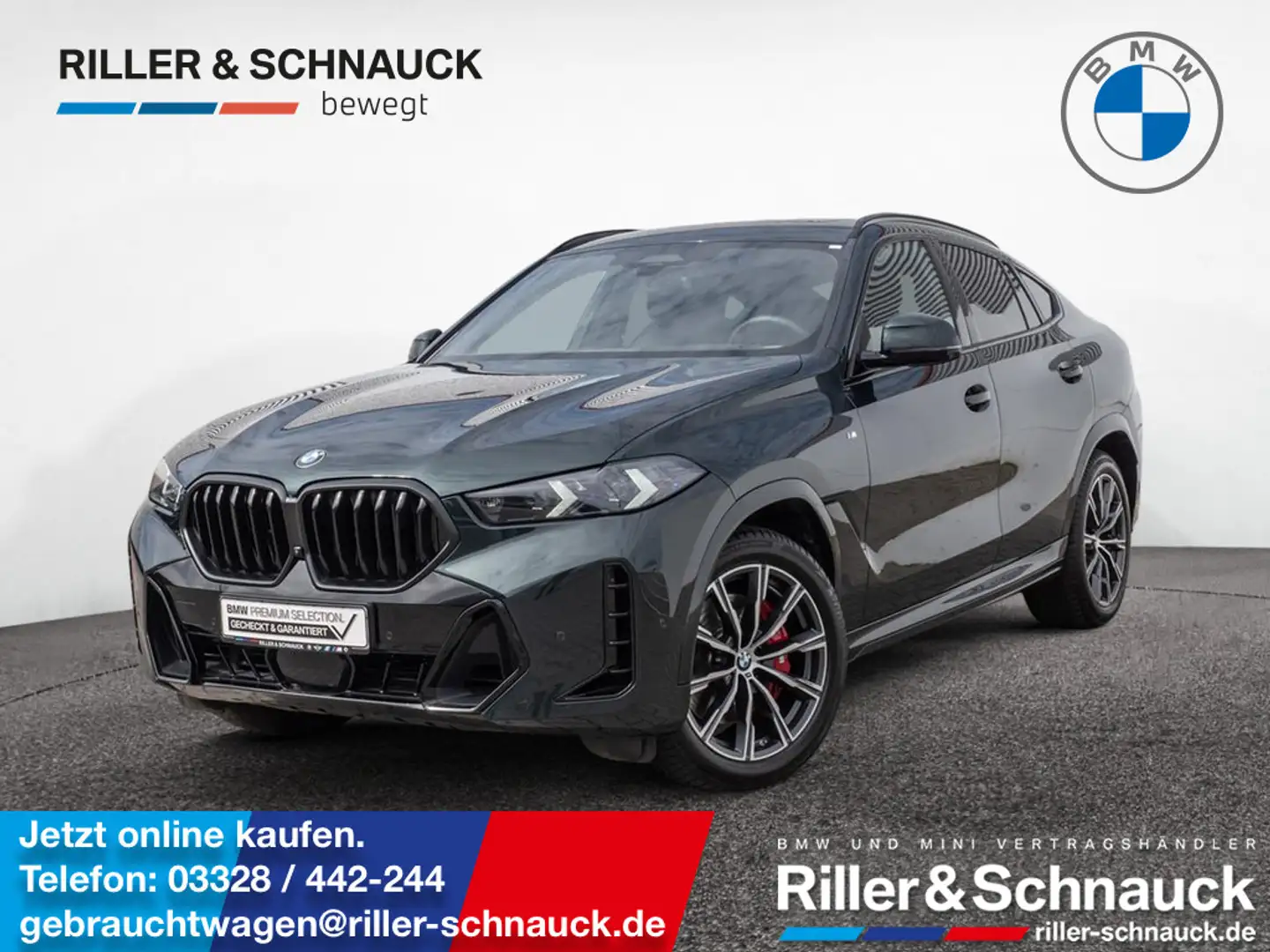 BMW X6 xDrive 40d M-Sport Pro LUFTFEDERUNG+STANDH Grün - 1