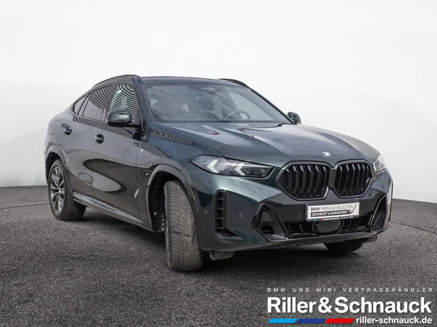 BMW X6 xDrive 40d M-Sport Pro LUFTFEDERUNG+STANDH Grün - 2