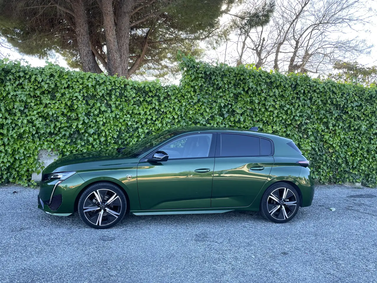 Peugeot 308 308 — photo 4