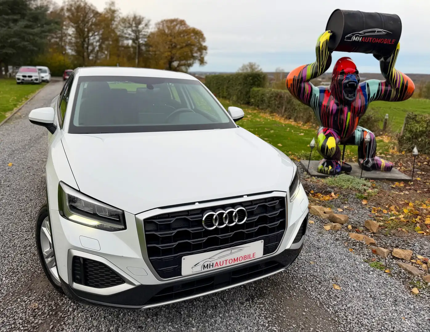 Audi Q2 35 TFSI Blanco - 2