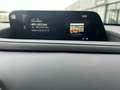 Mazda CX-30 CX-30 2.0 m-hybrid Exceed 2wd 150cv 6at Negro - thumbnail 21