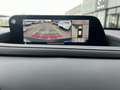 Mazda CX-30 CX-30 2.0 m-hybrid Exceed 2wd 150cv 6at Negro - thumbnail 20