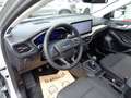 Ford Focus 1,0 EcoBoost Hybrid Titanium X Argento - thumbnail 12