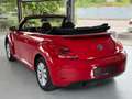 Volkswagen Beetle Cabriolet Design-1.2 TSI-Navi-Pdc-Klima Rot - thumbnail 4