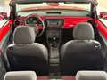 Volkswagen Beetle Cabriolet Design-1.2 TSI-Navi-Pdc-Klima Rot - thumbnail 13