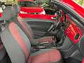 Volkswagen Beetle Cabriolet Design-1.2 TSI-Navi-Pdc-Klima Rot - thumbnail 15