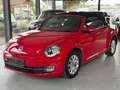 Volkswagen Beetle Cabriolet Design-1.2 TSI-Navi-Pdc-Klima Rot - thumbnail 9