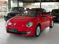 Volkswagen Beetle Cabriolet Design-1.2 TSI-Navi-Pdc-Klima Rot - thumbnail 3