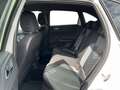 Volkswagen Taigo 1.5 TSI DSG R-Line AHK ACC Matrix Navi PDC Weiß - thumbnail 13