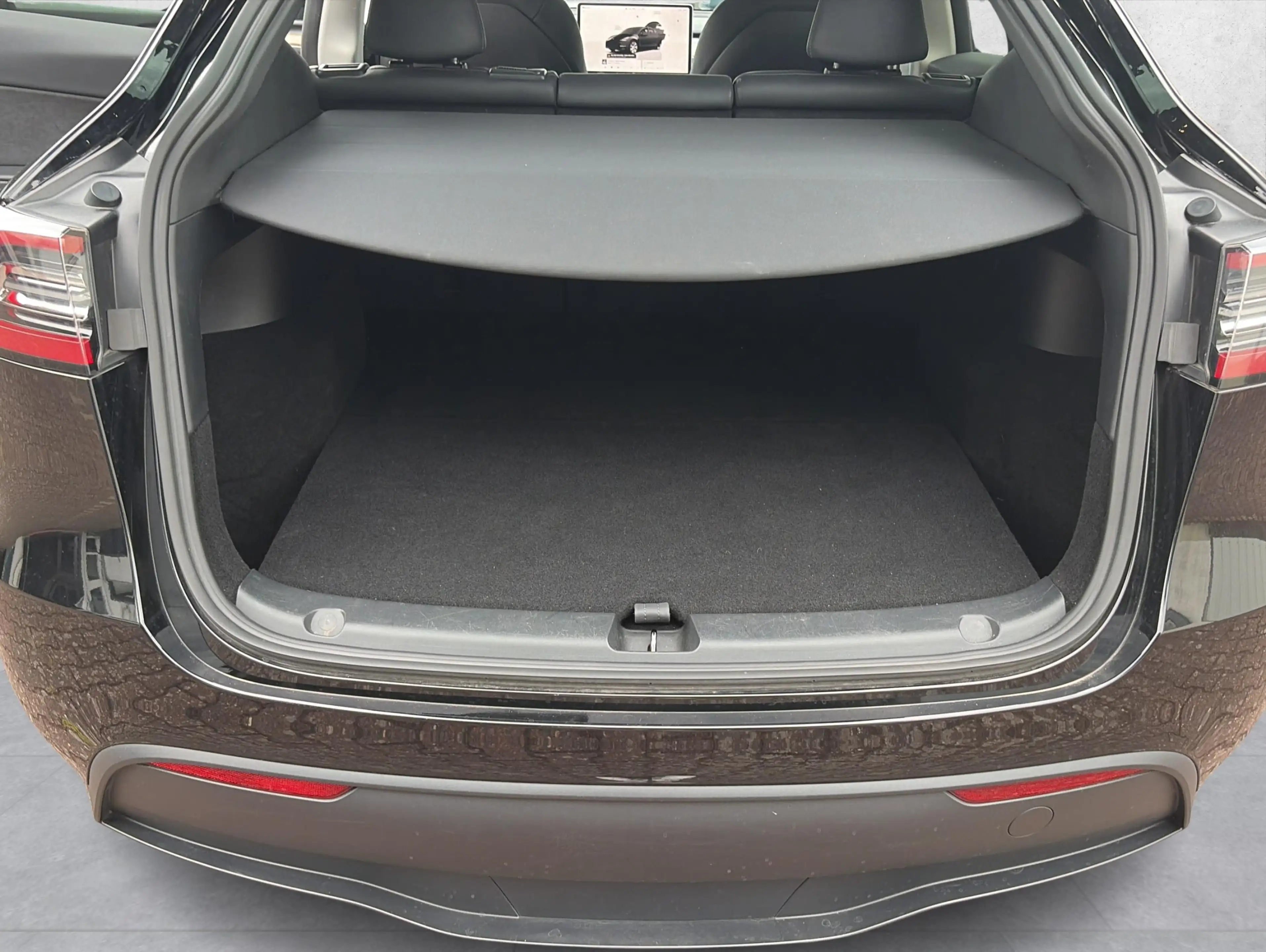 Tesla Model Y Standard Range * 1. Hand — photo 20
