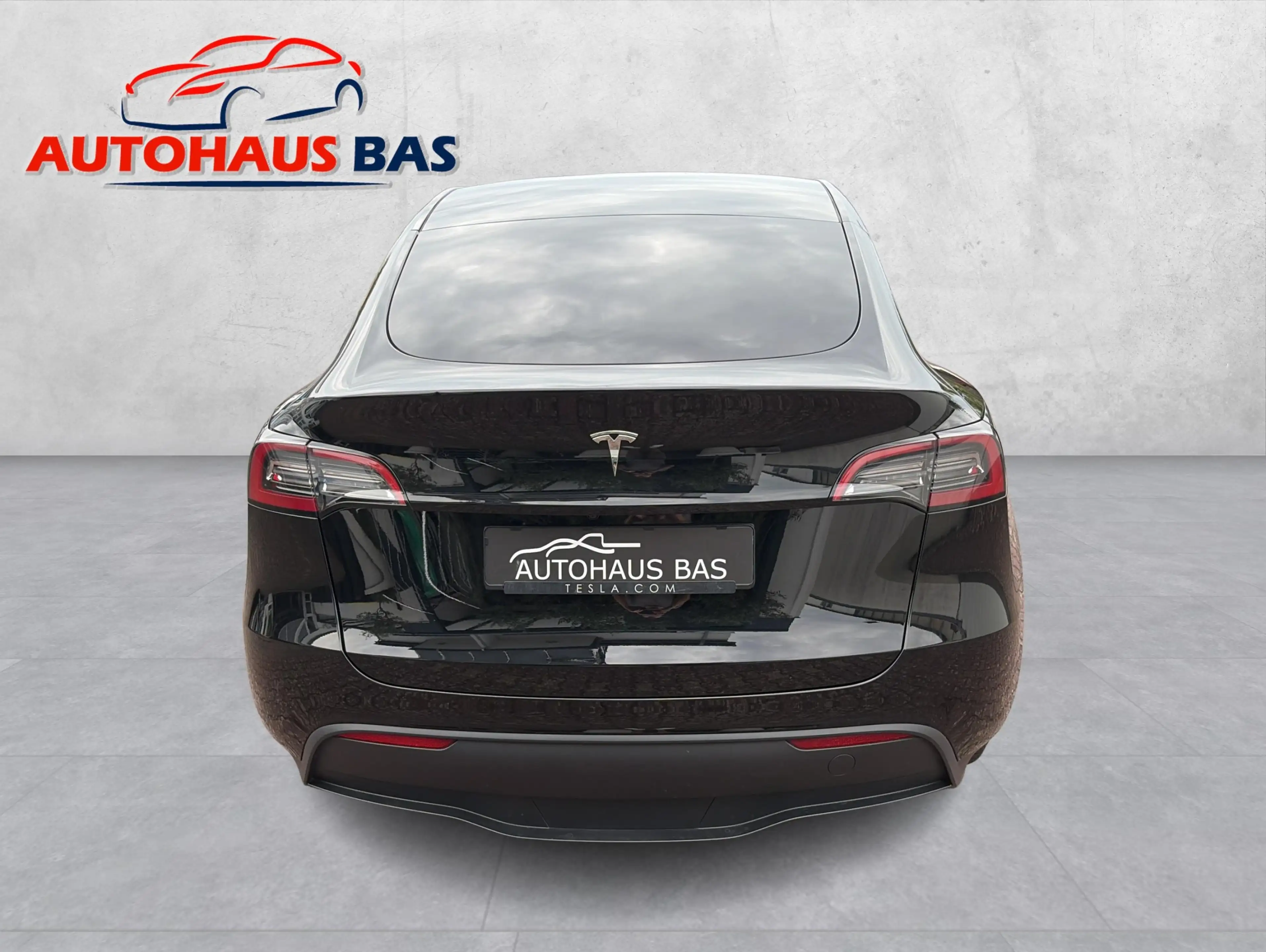 Tesla Model Y Standard Range * 1. Hand — photo 9
