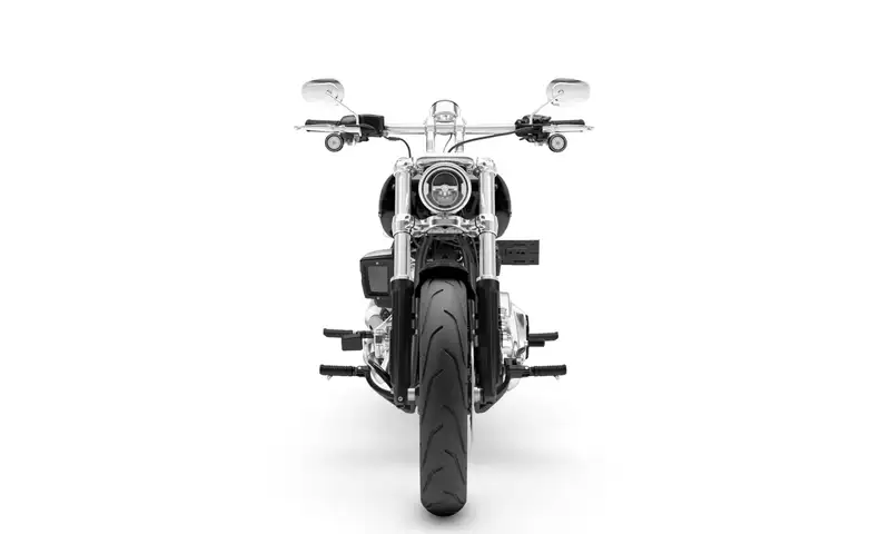 Harley-Davidson Softail - foto 3