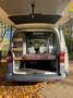 Volkswagen T5 Camper, 4 Sitze, 2 1/2 Betten, Markise, AHK Wit - thumbnail 13