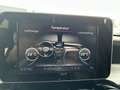 Mercedes-Benz C 250 C 250 T BlueTec / d 4Matic (205.209) Weiß - thumbnail 12