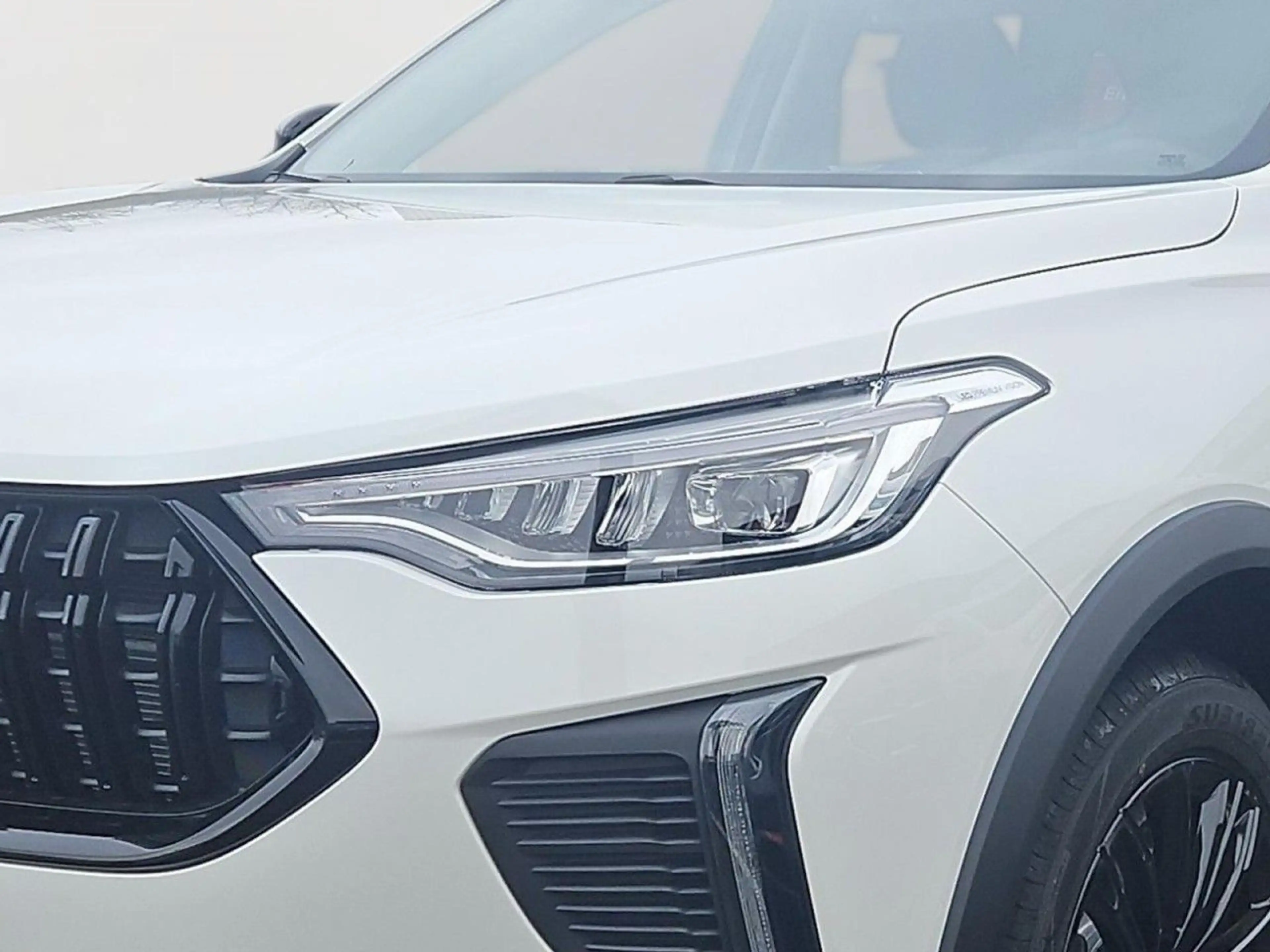 GWM HAVAL Jolion Pro Haval Jolion Pro Luxury 1.5T intelli. Fahrassist — photo 6