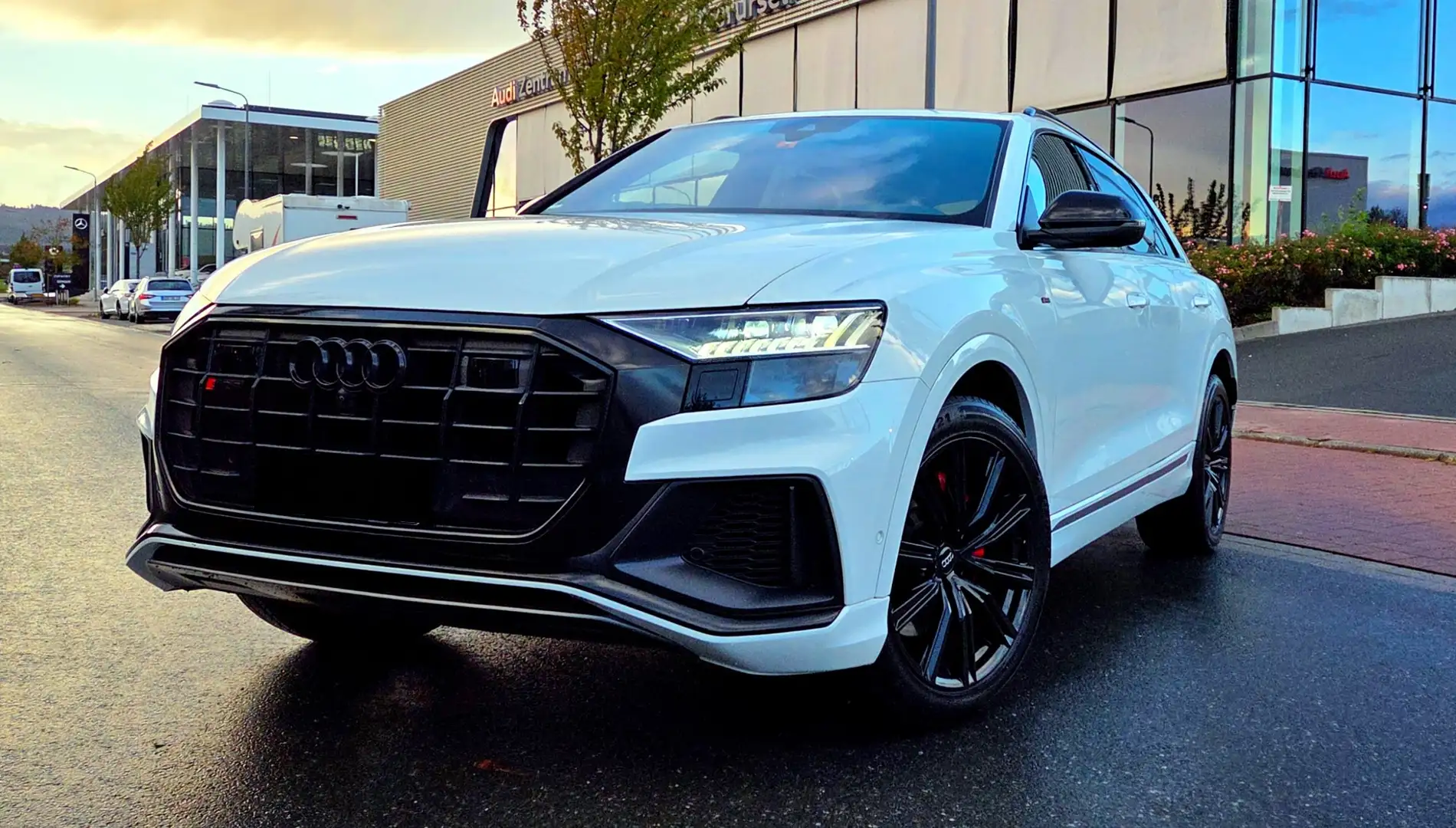 Audi Q8 Q8 50 TDI SoftClose B&O Matrix ACC AHK Panorama - 1