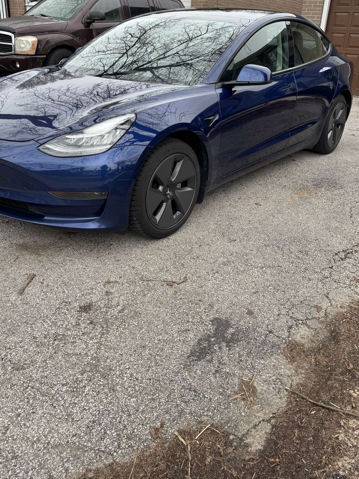 2021 Tesla Model 3 Standard Range Plus RWD alt 2
