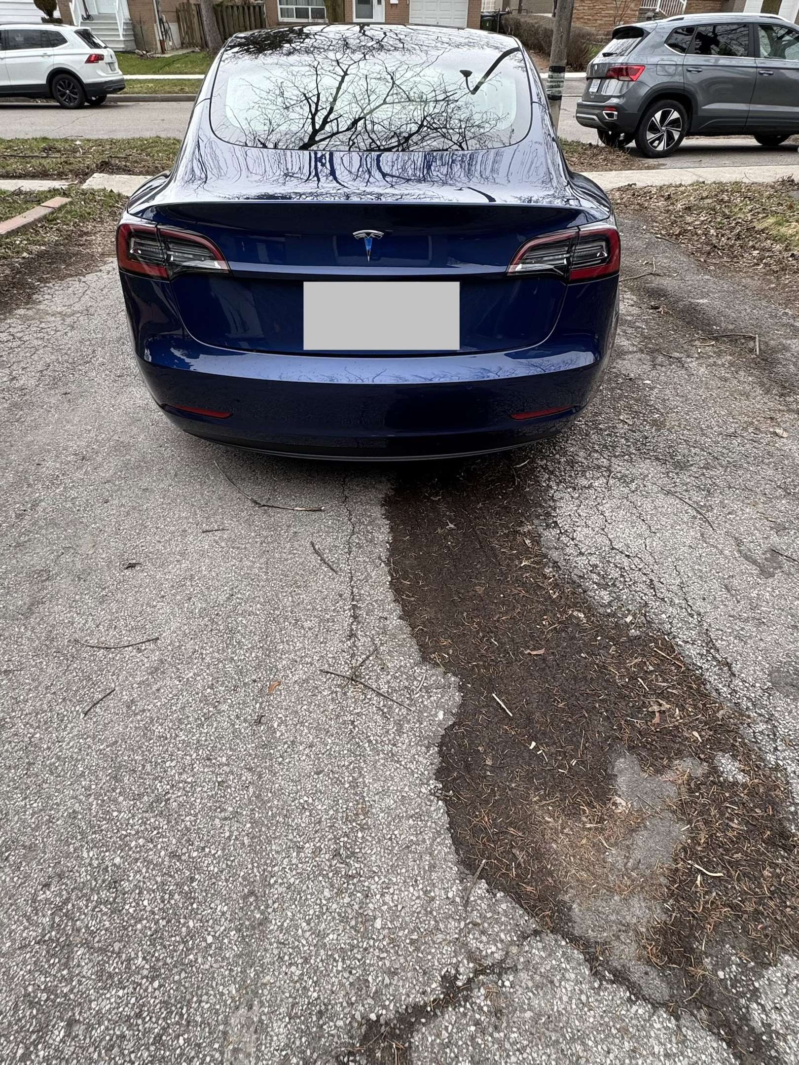 2021 Tesla Model 3 Standard Range Plus RWD alt 4