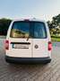 Volkswagen Caddy Kasten/Kombi Kasten EcoProfi Weiß - thumbnail 8