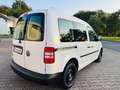 Volkswagen Caddy Kasten/Kombi Kasten EcoProfi Weiß - thumbnail 3