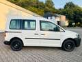 Volkswagen Caddy Kasten/Kombi Kasten EcoProfi Weiß - thumbnail 5