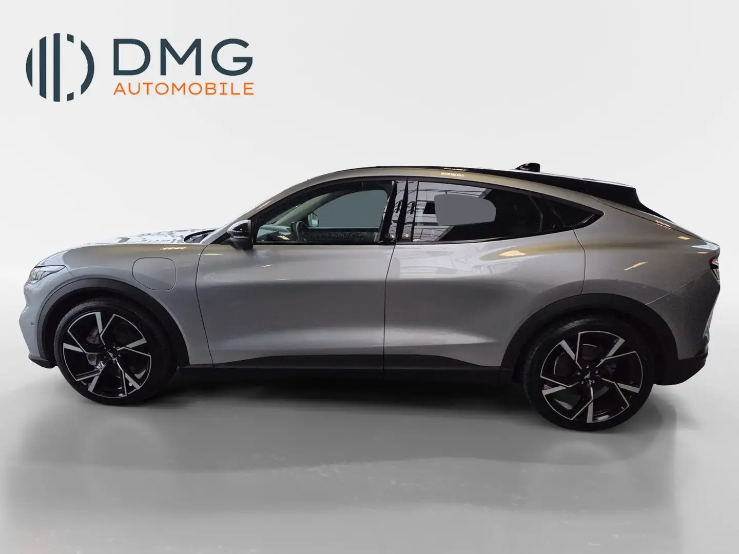 Ford Mustang Mach-E Basis Argent - 1