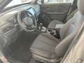 Subaru Forester 2.0 ie 100kW AWD Exclusive Grau - thumbnail 4