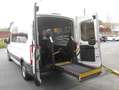 Ford Transit FORD 2.0 TDCI 130 CV L3 H2 ADAPTADA A PMR Blanco - thumbnail 3