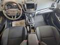 Ford C-Max C-MAX 1.5 Sport Automatik Bi-Xenon Navi Standhzg Gris - thumbnail 7