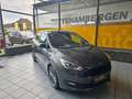 Ford C-Max C-MAX 1.5 Sport Automatik Bi-Xenon Navi Standhzg Gris - thumbnail 2