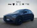 Alfa Romeo Stelvio Stelvio 2.2 t Business rwd 160cv auto my19 Grigio - thumbnail 2