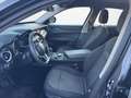 Alfa Romeo Stelvio Stelvio 2.2 t Business rwd 160cv auto my19 Grigio - thumbnail 9