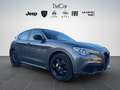 Alfa Romeo Stelvio Stelvio 2.2 t Business rwd 160cv auto my19 Grigio - thumbnail 8