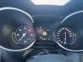 Alfa Romeo Stelvio Stelvio 2.2 t Business rwd 160cv auto my19 Grigio - thumbnail 11
