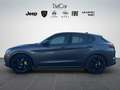 Alfa Romeo Stelvio Stelvio 2.2 t Business rwd 160cv auto my19 Grigio - thumbnail 3