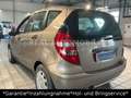 Mercedes-Benz A 170 A A 170 AUTOMATIK *1.HAND*TÜV 05-2027*SH* Gold - thumbnail 3