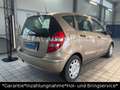 Mercedes-Benz A 170 A A 170 AUTOMATIK *1.HAND*TÜV 05-2027*SH* Gold - thumbnail 5