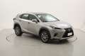 Lexus NX 300 Hybrid Premium 4WD 2.5 Full Hybrid 197CV Grau - thumbnail 7