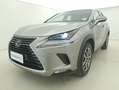 Lexus NX 300 Hybrid Premium 4WD 2.5 Full Hybrid 197CV Grau - thumbnail 9