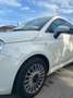 Fiat 500 500 III 1.3 mjt 16v Matt Black 95cv Bianco - thumbnail 1