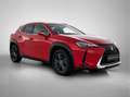 Lexus UX 250h Luxury Line | Lederen Bekleding | Stoelverwarming Rouge - thumbnail 13