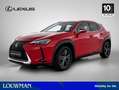 Lexus UX 250h Luxury Line | Lederen Bekleding | Stoelverwarming Rouge - thumbnail 1