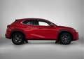 Lexus UX 250h Luxury Line | Lederen Bekleding | Stoelverwarming Rouge - thumbnail 12