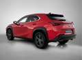 Lexus UX 250h Luxury Line | Lederen Bekleding | Stoelverwarming Rouge - thumbnail 14